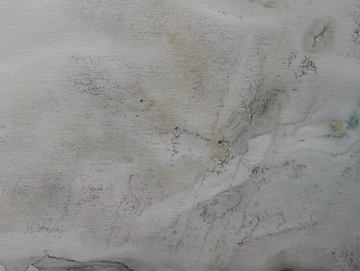 Mold forming on improperly stored paper painting